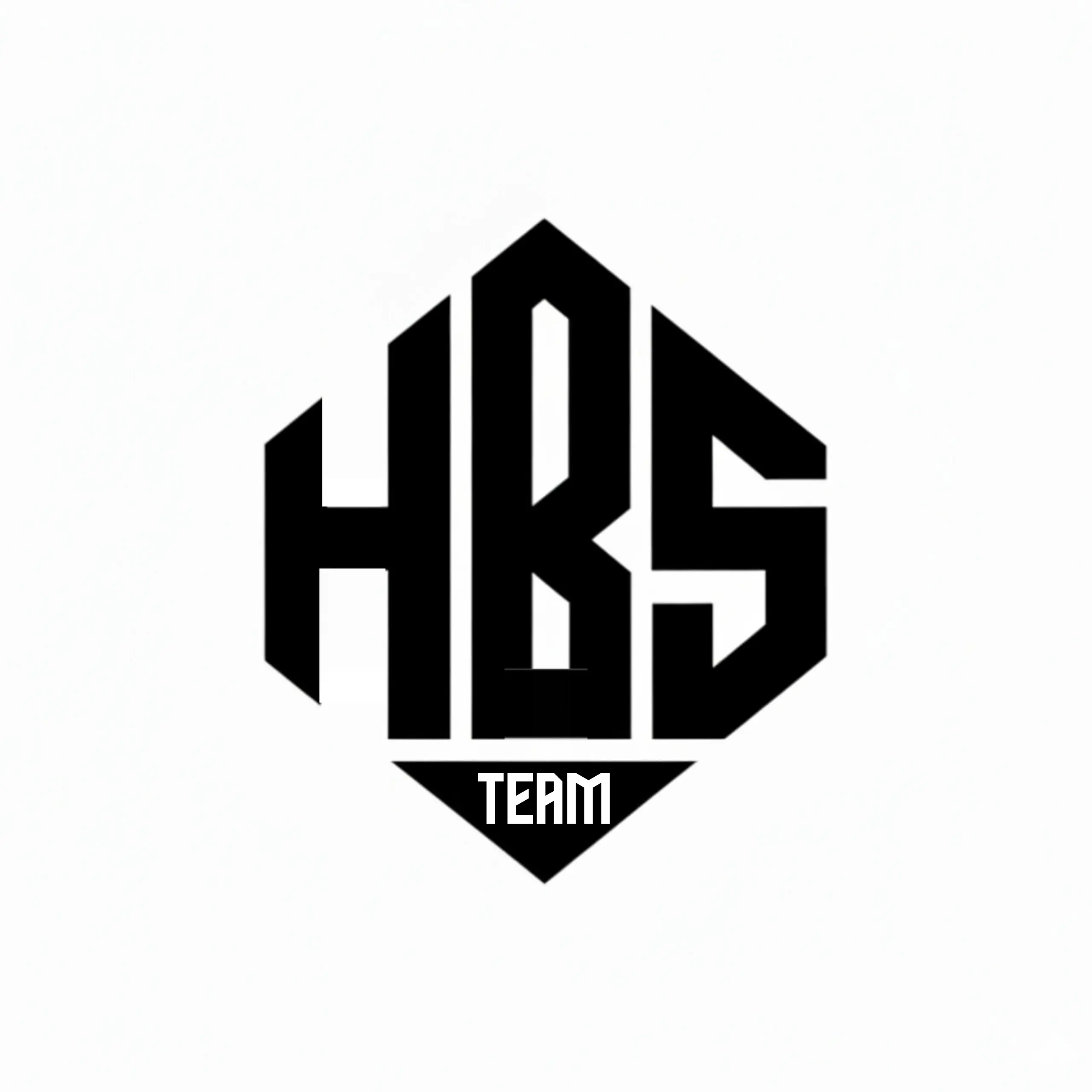 Logo HBS Team